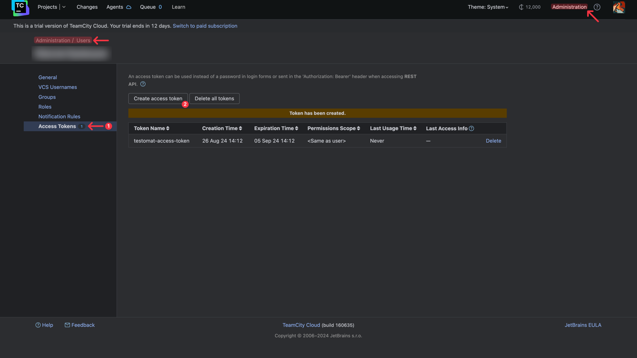 Testomat.io - TeamCity Access Token